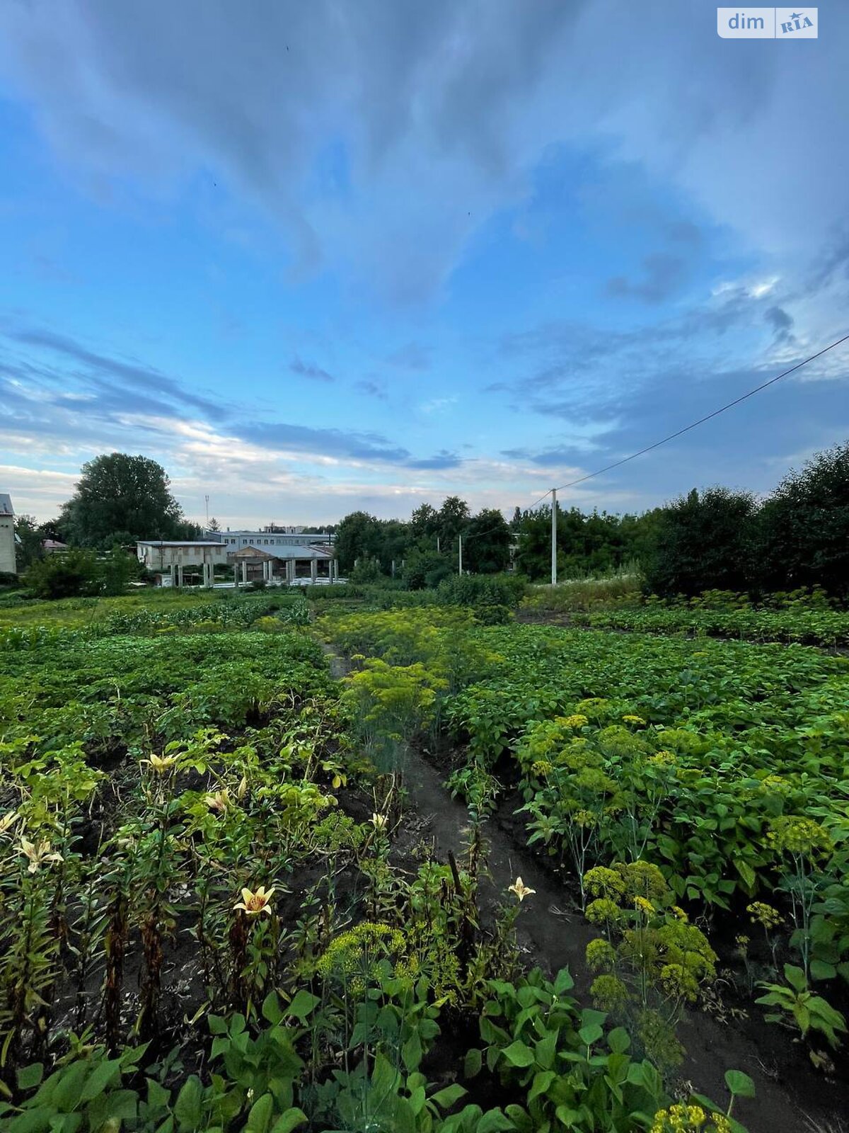Земля под жилую застройку в Хмельницком, район Гречаны, площадь 15 соток фото 1 Земля под жилую застройку в Хмельницком, район Гречаны, площадь 15 соток фото 1