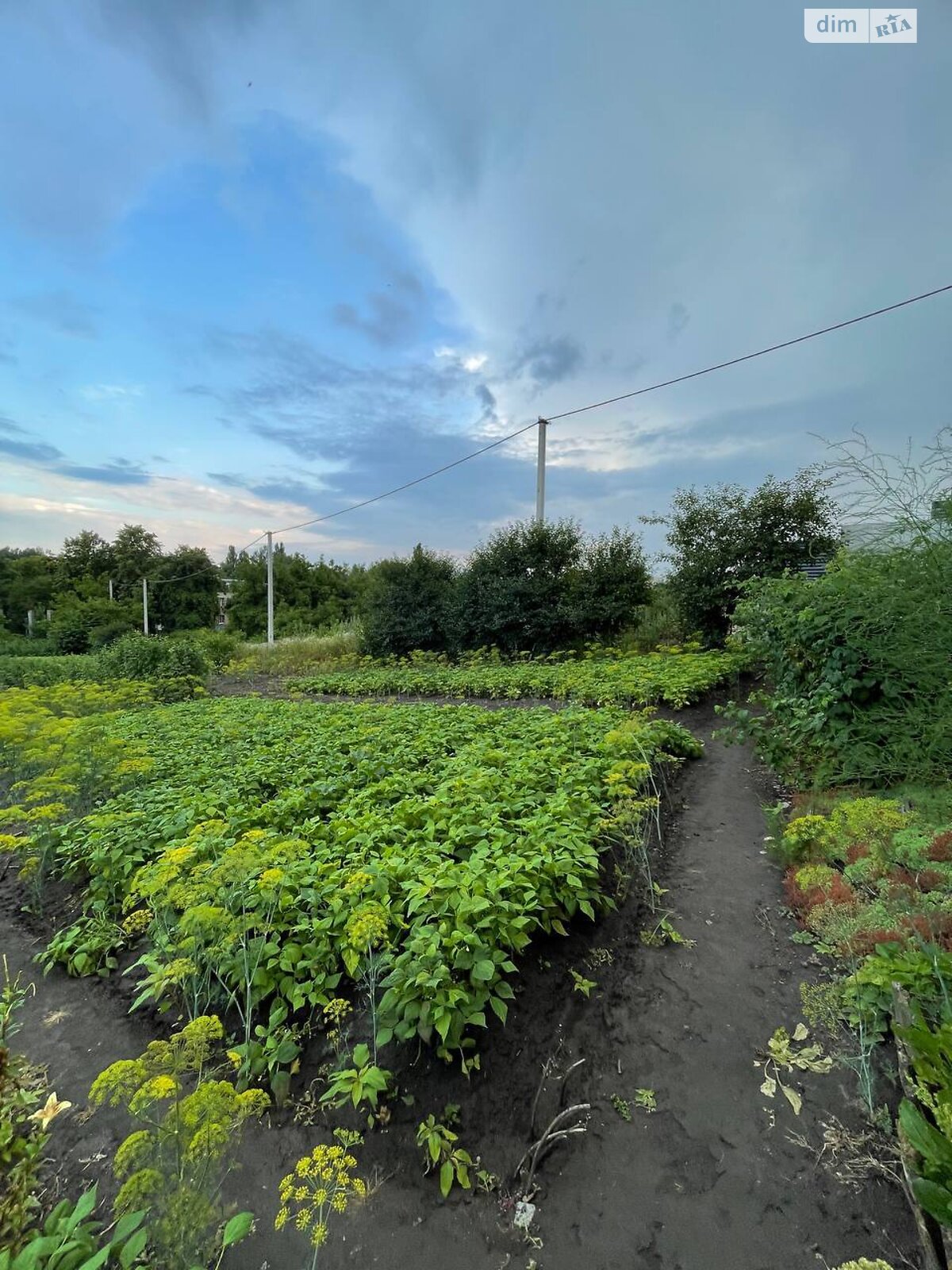 Земля под жилую застройку в Хмельницком, район Гречаны, площадь 15 соток фото 1 Земля под жилую застройку в Хмельницком, район Гречаны, площадь 15 соток фото 1