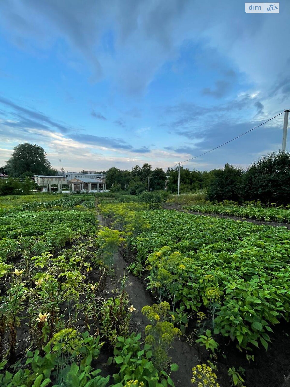 Земля под жилую застройку в Хмельницком, район Гречаны, площадь 15 соток фото 1 Земля под жилую застройку в Хмельницком, район Гречаны, площадь 15 соток фото 1