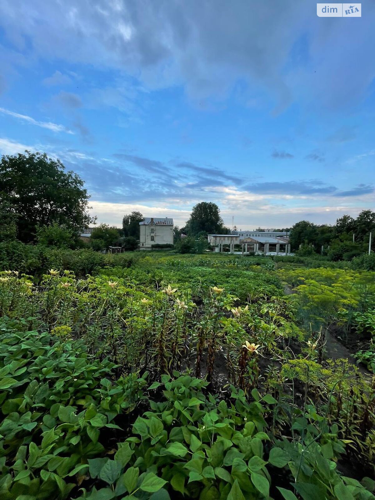 Земля под жилую застройку в Хмельницком, район Гречаны, площадь 15 соток фото 1 Земля под жилую застройку в Хмельницком, район Гречаны, площадь 15 соток фото 1