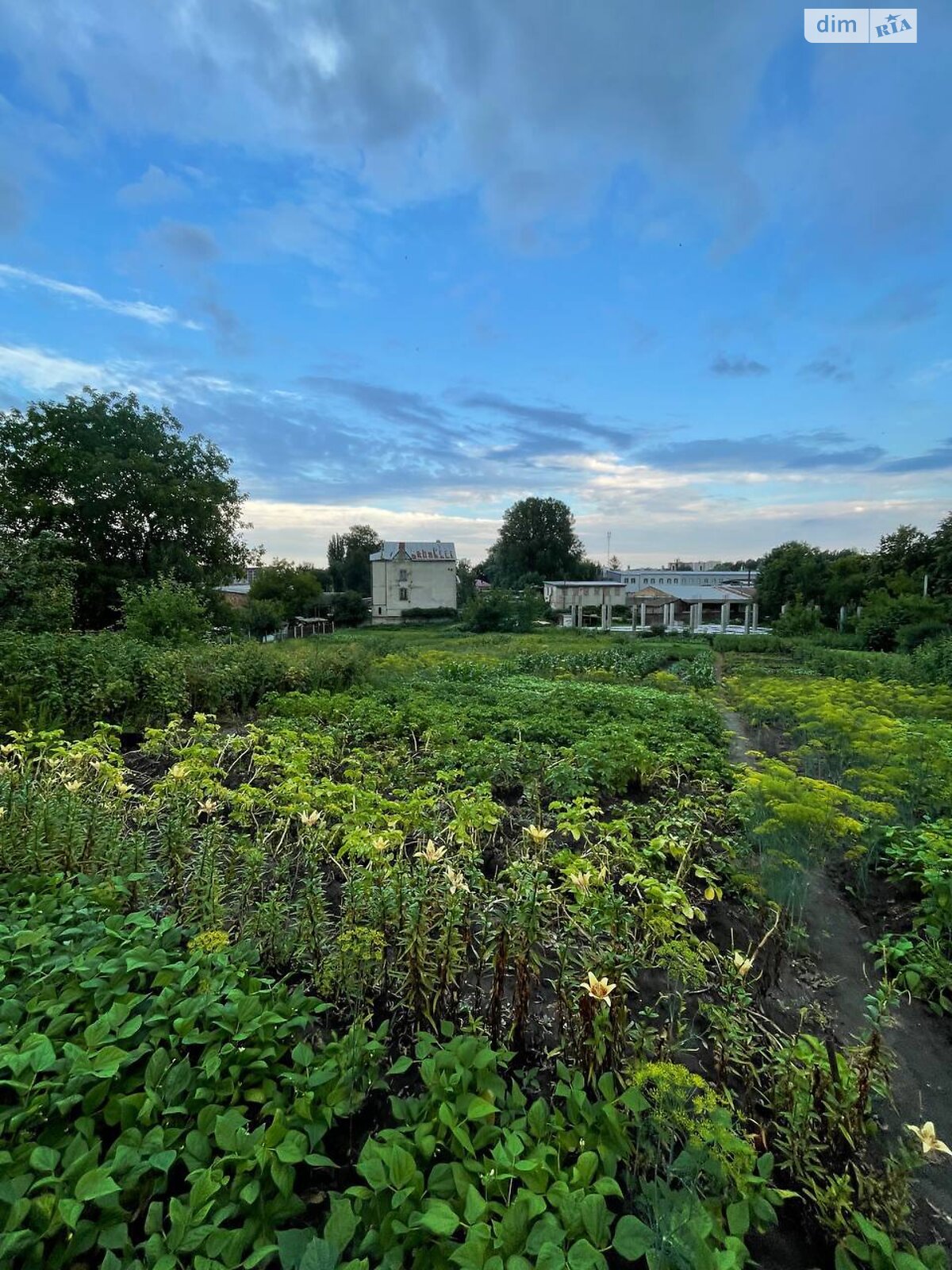 Земля под жилую застройку в Хмельницком, район Гречаны, площадь 15 соток фото 1 Земля под жилую застройку в Хмельницком, район Гречаны, площадь 15 соток фото 1