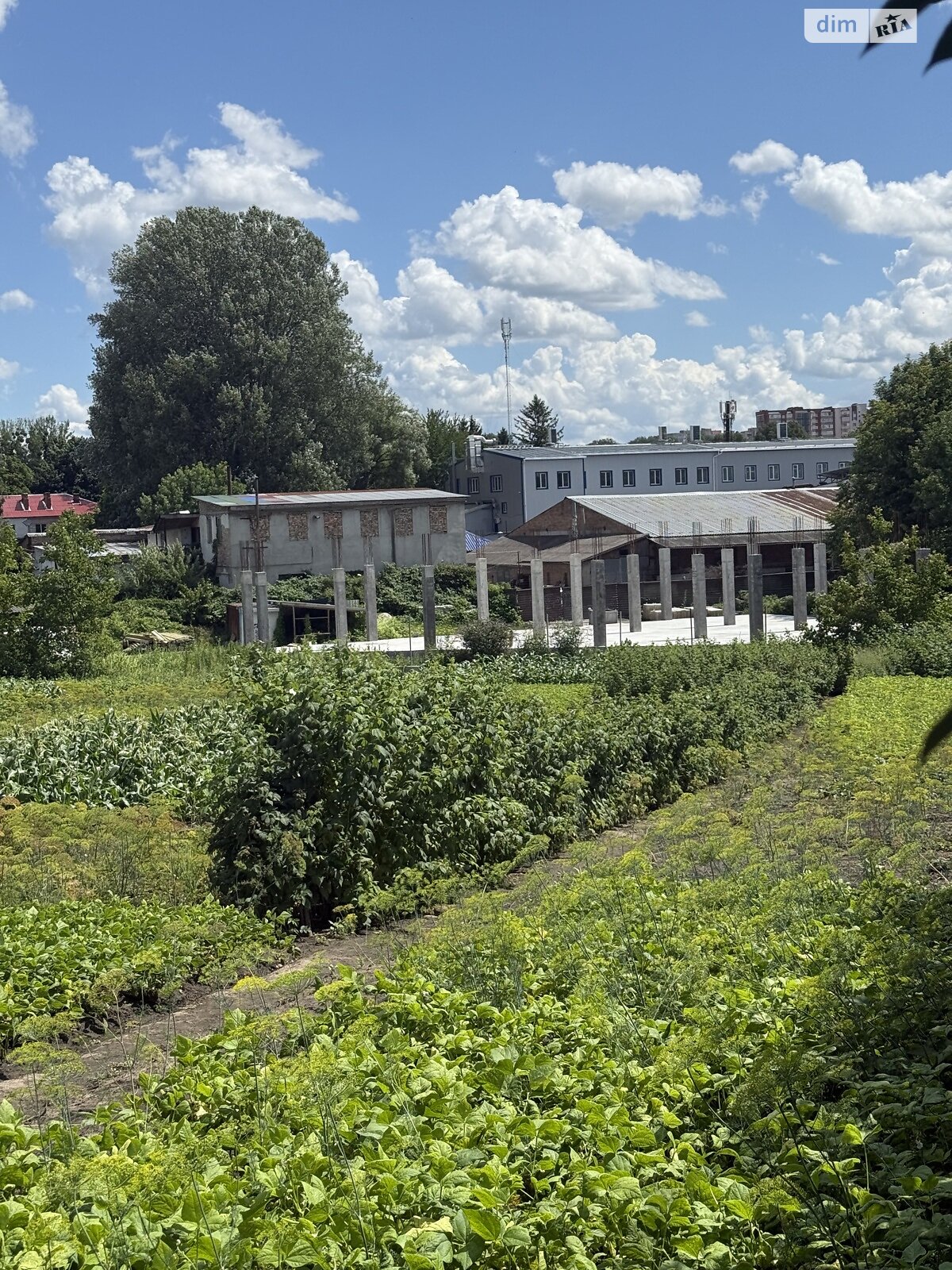 Земля под жилую застройку в Хмельницком, район Гречаны, площадь 15 соток фото 1 Земля под жилую застройку в Хмельницком, район Гречаны, площадь 15 соток фото 1