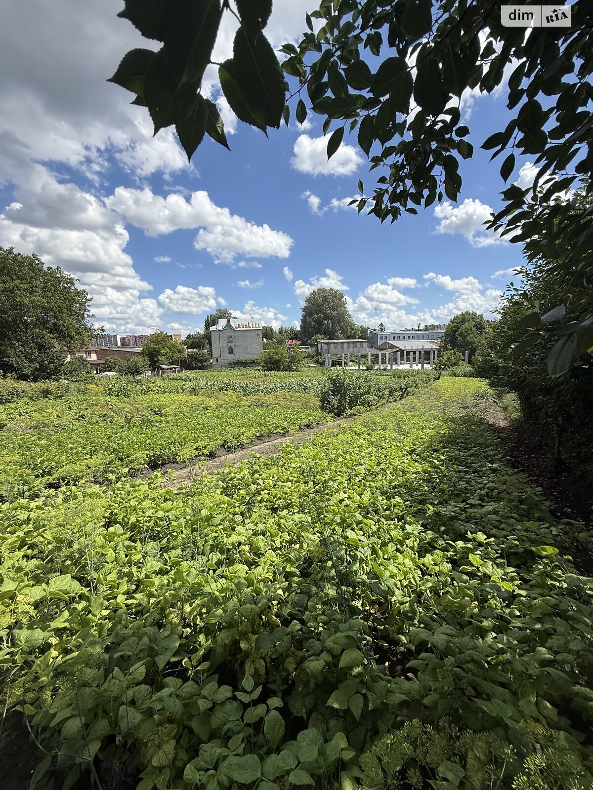Земля под жилую застройку в Хмельницком, район Гречаны, площадь 15 соток фото 1 Земля под жилую застройку в Хмельницком, район Гречаны, площадь 15 соток фото 1