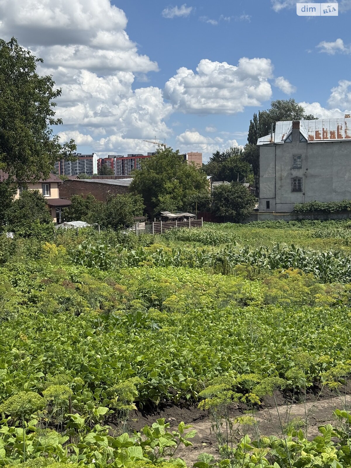 Земля под жилую застройку в Хмельницком, район Гречаны, площадь 15 соток фото 1 Земля под жилую застройку в Хмельницком, район Гречаны, площадь 15 соток фото 1