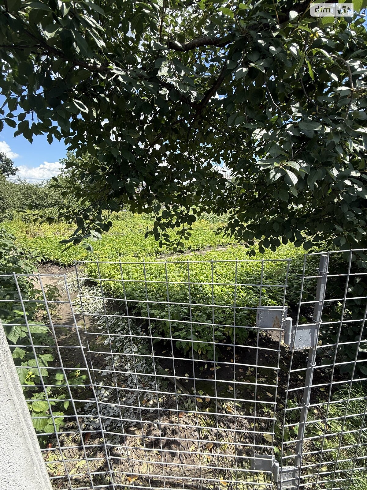 Земля под жилую застройку в Хмельницком, район Гречаны, площадь 15 соток фото 1 Земля под жилую застройку в Хмельницком, район Гречаны, площадь 15 соток фото 1