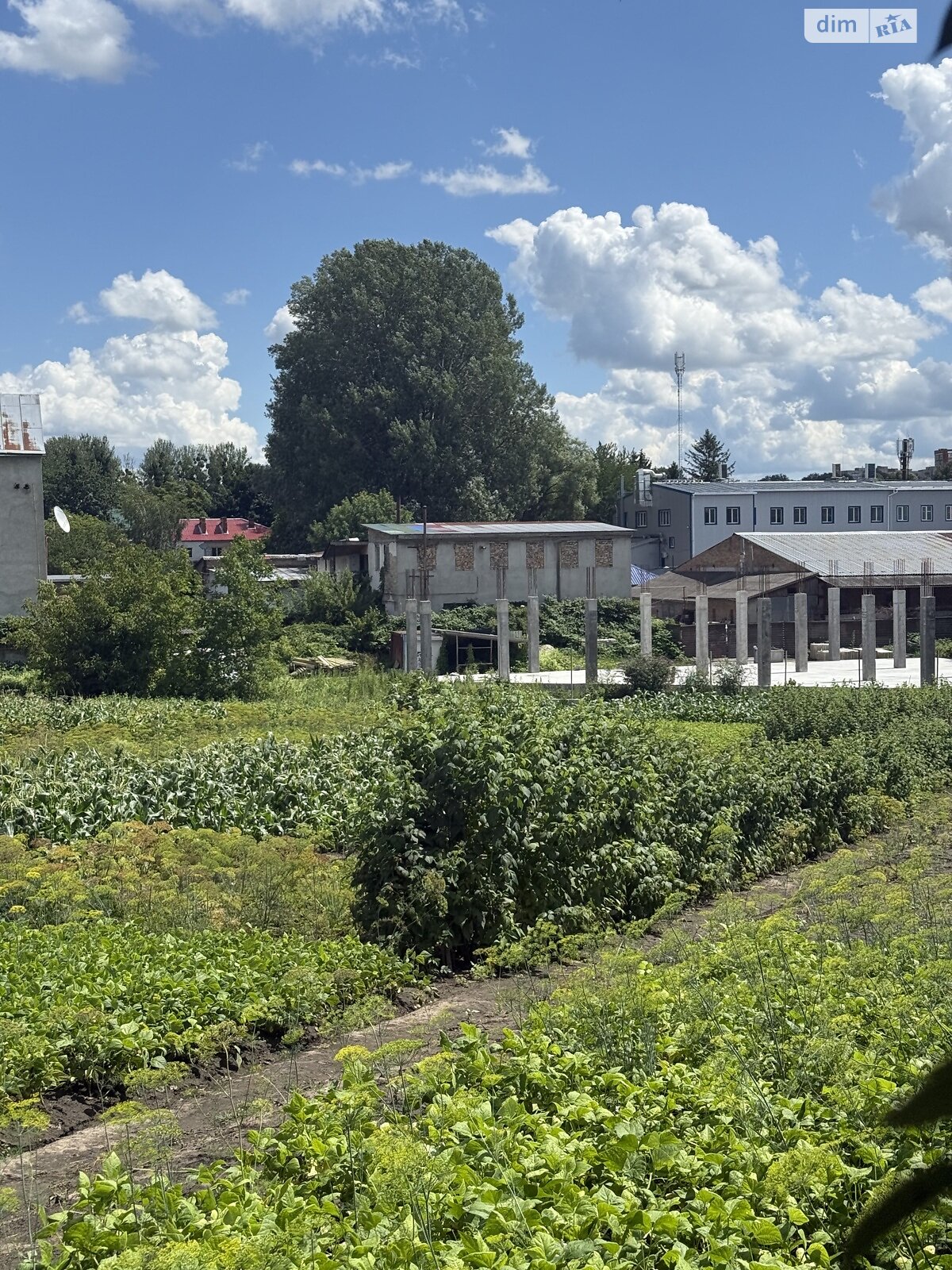 Земля под жилую застройку в Хмельницком, район Гречаны, площадь 15 соток фото 1 Земля под жилую застройку в Хмельницком, район Гречаны, площадь 15 соток фото 1