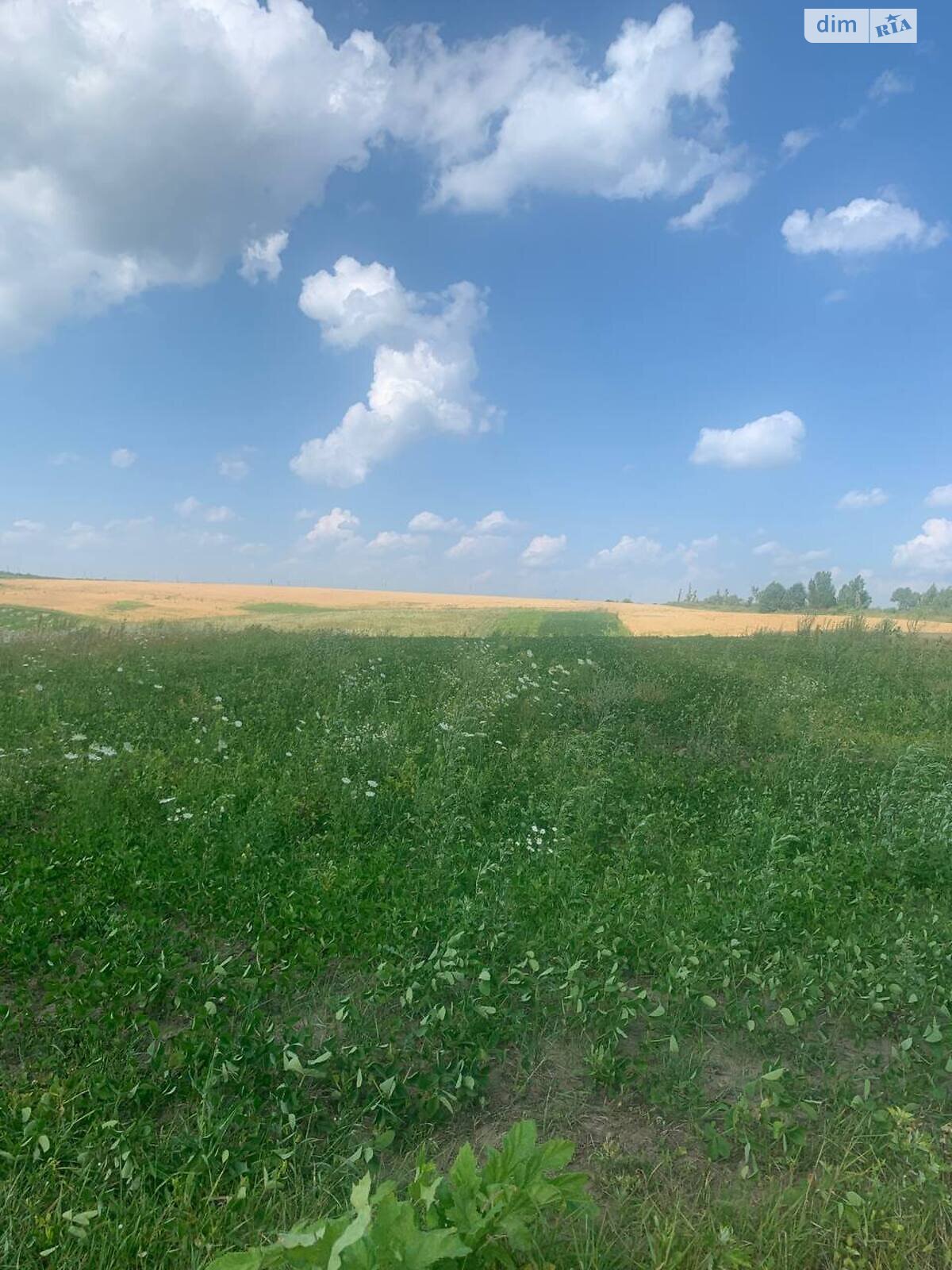 Земля під житлову забудову в Хмельницькому, район Гречани дальні, площа 10 соток фото 1