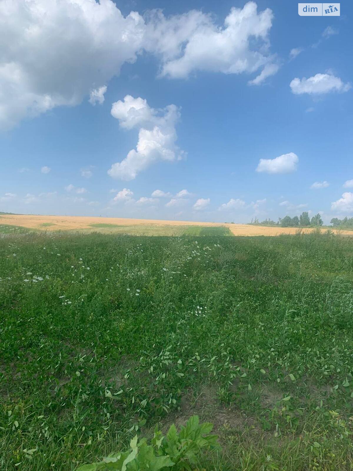 Земельна ділянка під житлову забудову в Грузевиці, площа 10 соток фото 1 Земельна ділянка під житлову забудову в Грузевиці, площа 10 соток фото 1