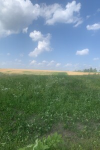 Земля під житлову забудову в Хмельницькому, район Гречани дальні, площа 1 Га фото 2