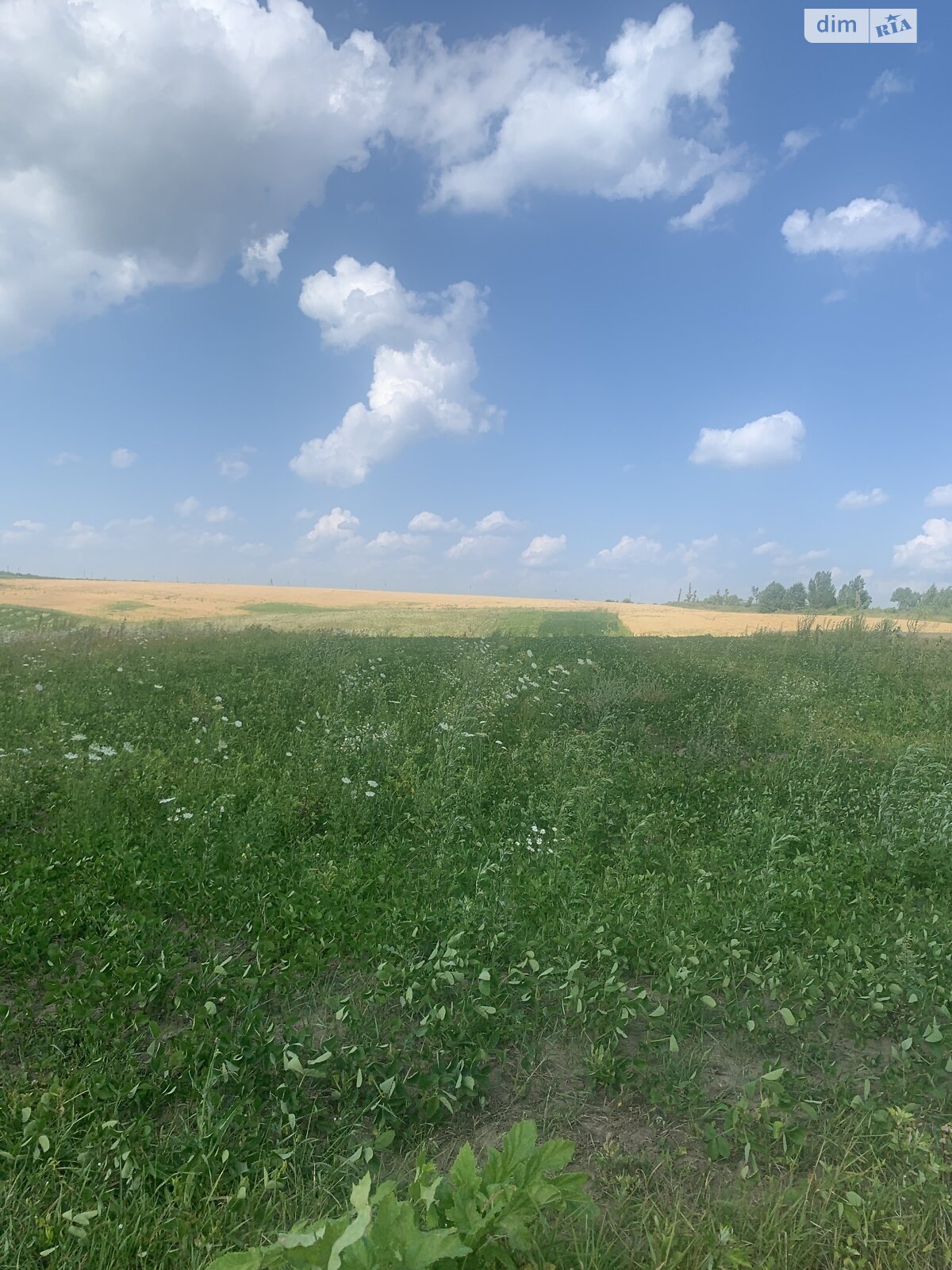 Земля під житлову забудову в Хмельницькому, район Гречани дальні, площа 1 Га фото 1