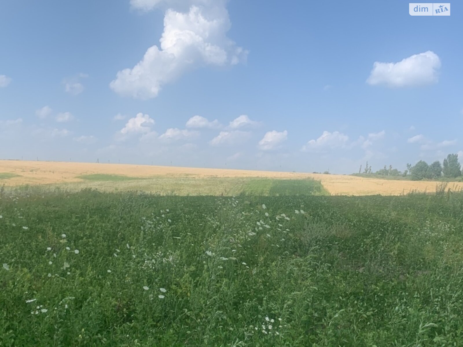 Земля под жилую застройку в Хмельницком, район Гречаны дальние, площадь 1 Га фото 1