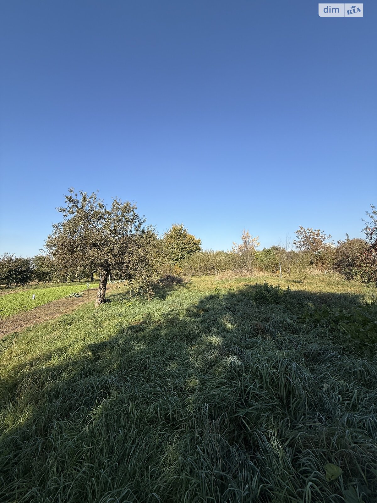 Земля под жилую застройку в Хмельницком, район Лезневое, площадь 16.2 сотки фото 1 Земля под жилую застройку в Хмельницком, район Лезневое, площадь 16.2 сотки фото 1
