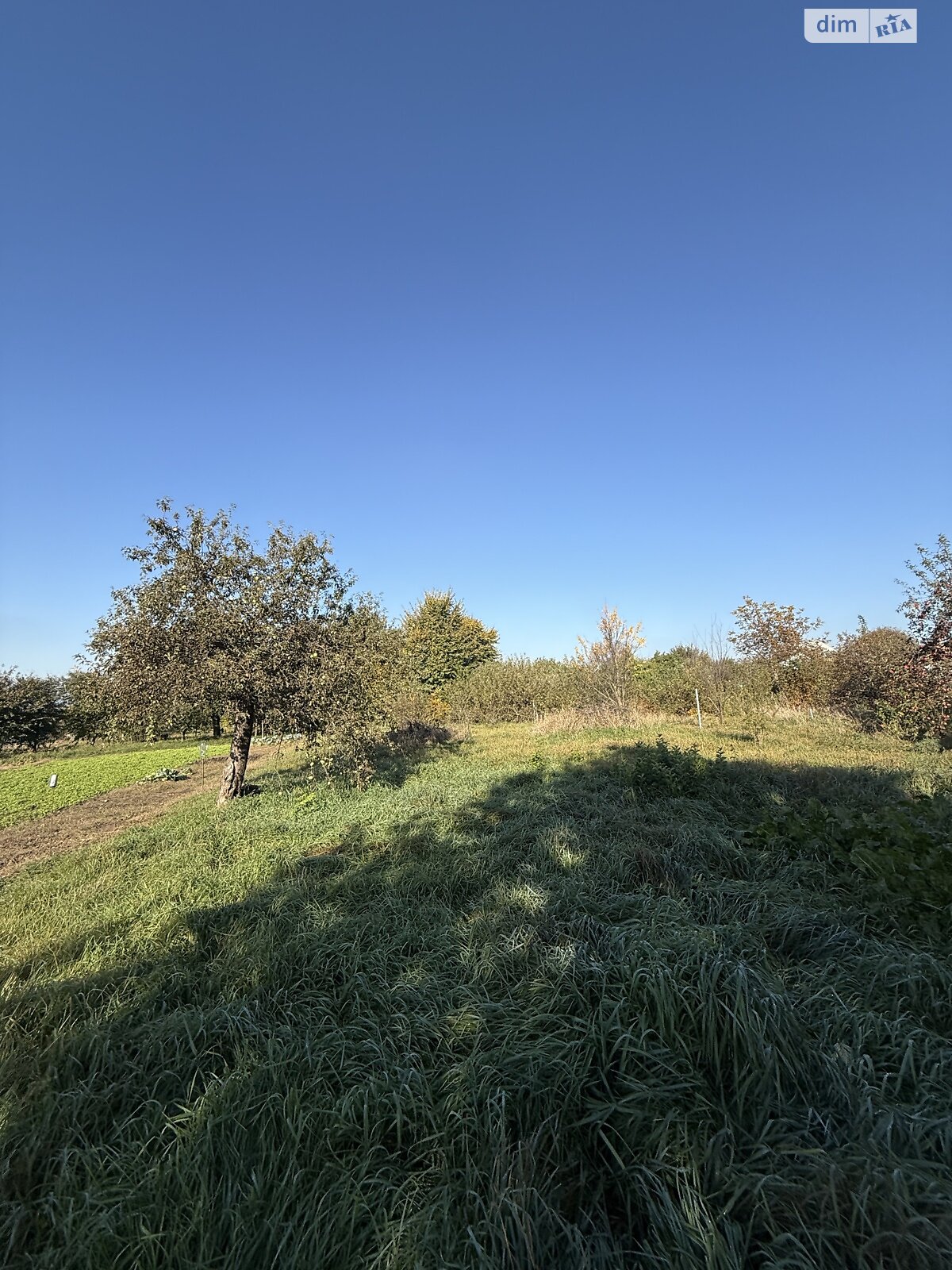 Земля под жилую застройку в Хмельницком, район Лезневое, площадь 16.2 сотки фото 1 Земля под жилую застройку в Хмельницком, район Лезневое, площадь 16.2 сотки фото 1
