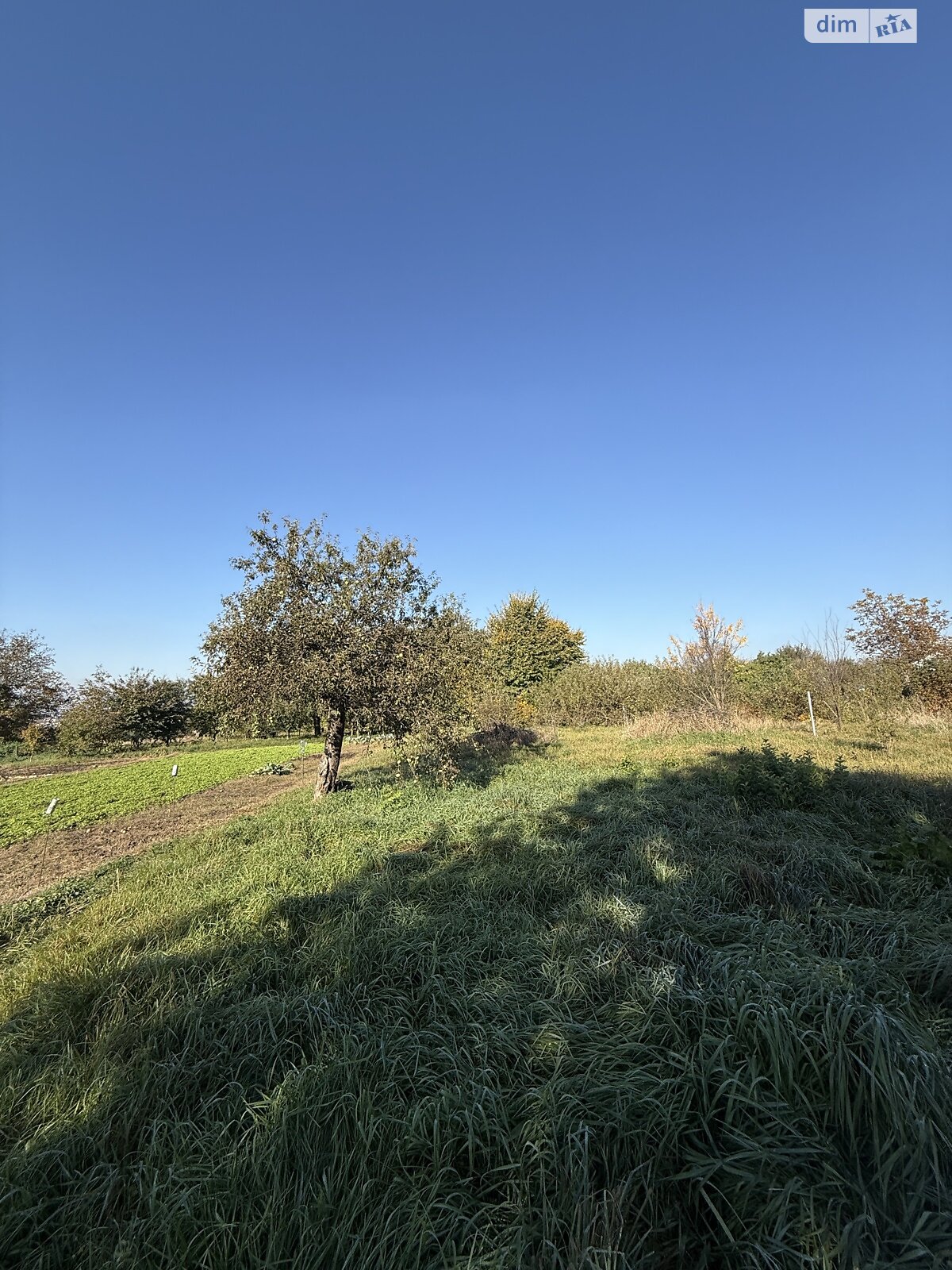 Земля под жилую застройку в Хмельницком, район Лезневое, площадь 16.2 сотки фото 1 Земля под жилую застройку в Хмельницком, район Лезневое, площадь 16.2 сотки фото 1