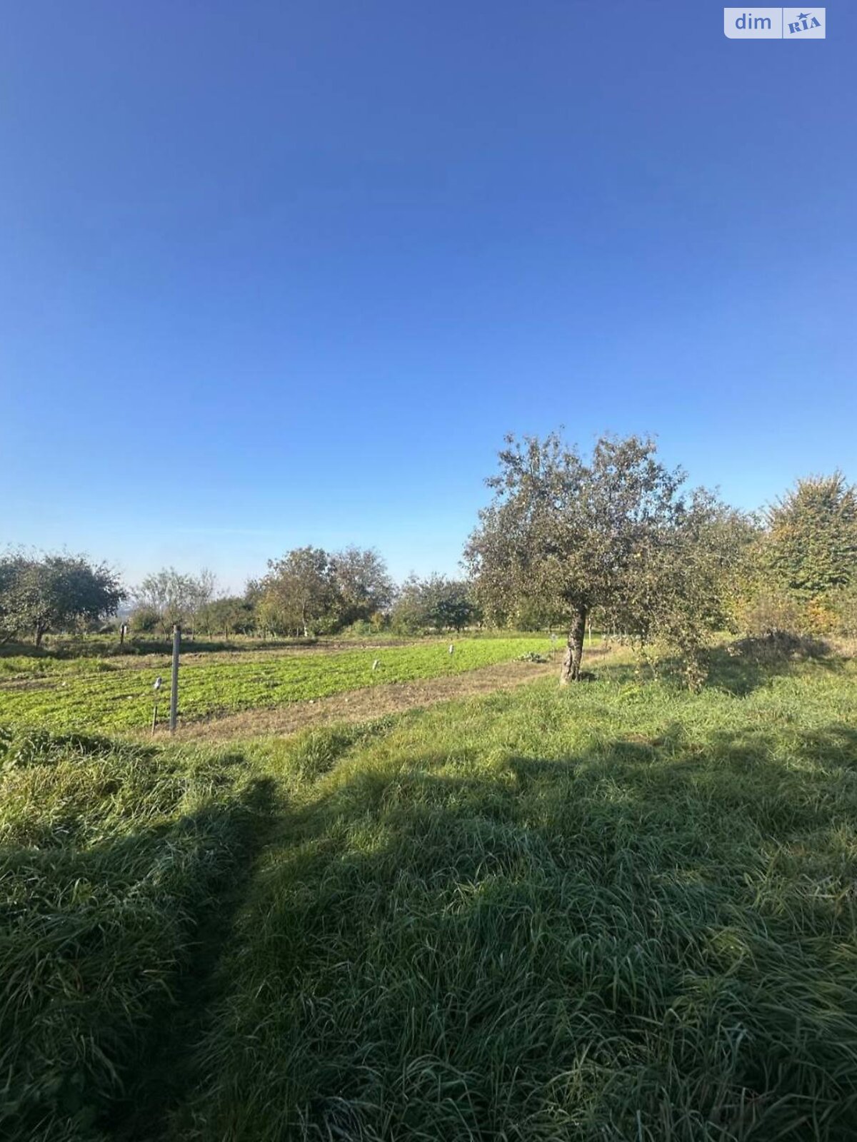 Земля под жилую застройку в Хмельницком, район Лезневое, площадь 16.2 сотки фото 1 Земля под жилую застройку в Хмельницком, район Лезневое, площадь 16.2 сотки фото 1