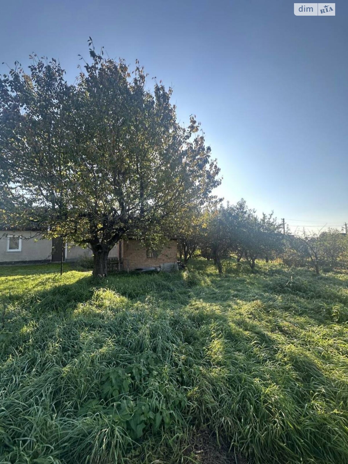 Земля под жилую застройку в Хмельницком, район Лезневое, площадь 16.2 сотки фото 1 Земля под жилую застройку в Хмельницком, район Лезневое, площадь 16.2 сотки фото 1