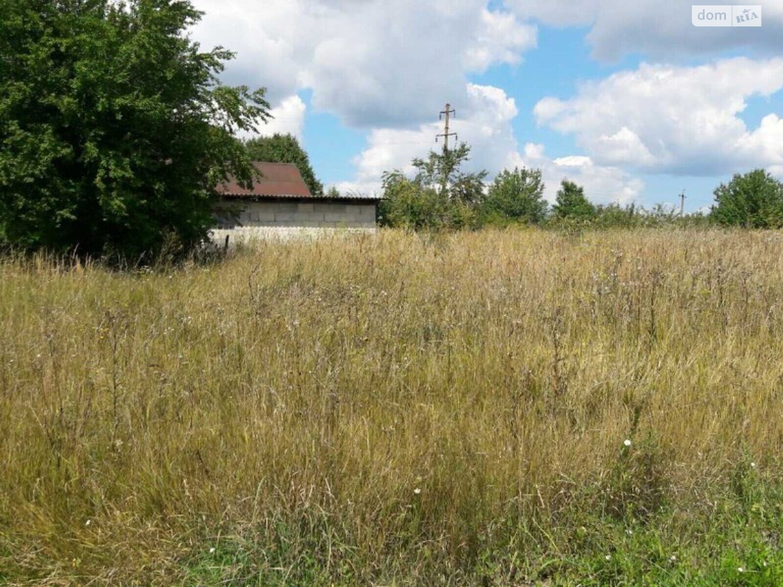 Земельна ділянка під житлову забудову в Ружичанці, площа 25 соток фото 1