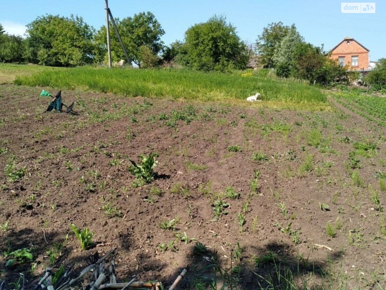 Земля под жилую застройку в Хмельницком, район Ружична, площадь 10 соток фото 1