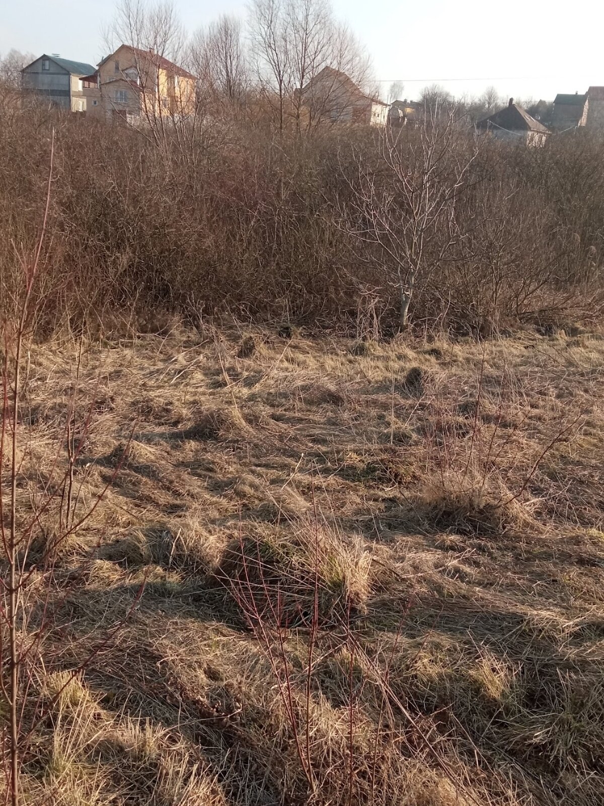 Земля під житлову забудову в Хмельницькому, район Ружична, площа 10 соток фото 1 Земля під житлову забудову в Хмельницькому, район Ружична, площа 10 соток фото 1