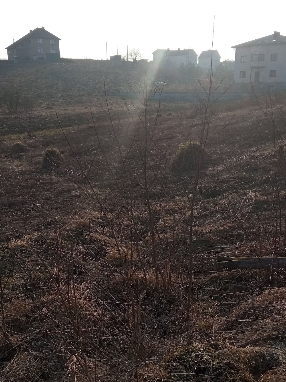 Земля під житлову забудову в Хмельницькому, район Ружична, площа 10 соток фото 1 Земля під житлову забудову в Хмельницькому, район Ружична, площа 10 соток фото 1