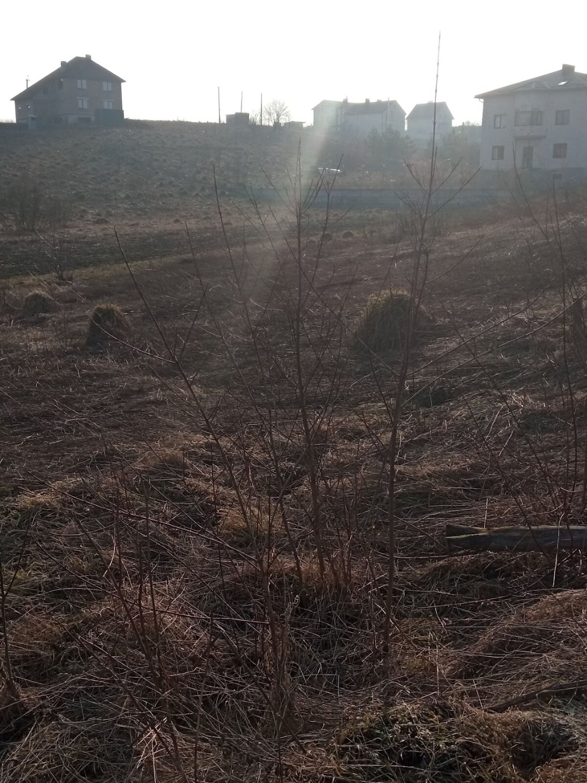 Земля під житлову забудову в Хмельницькому, район Ружична, площа 10 соток фото 1