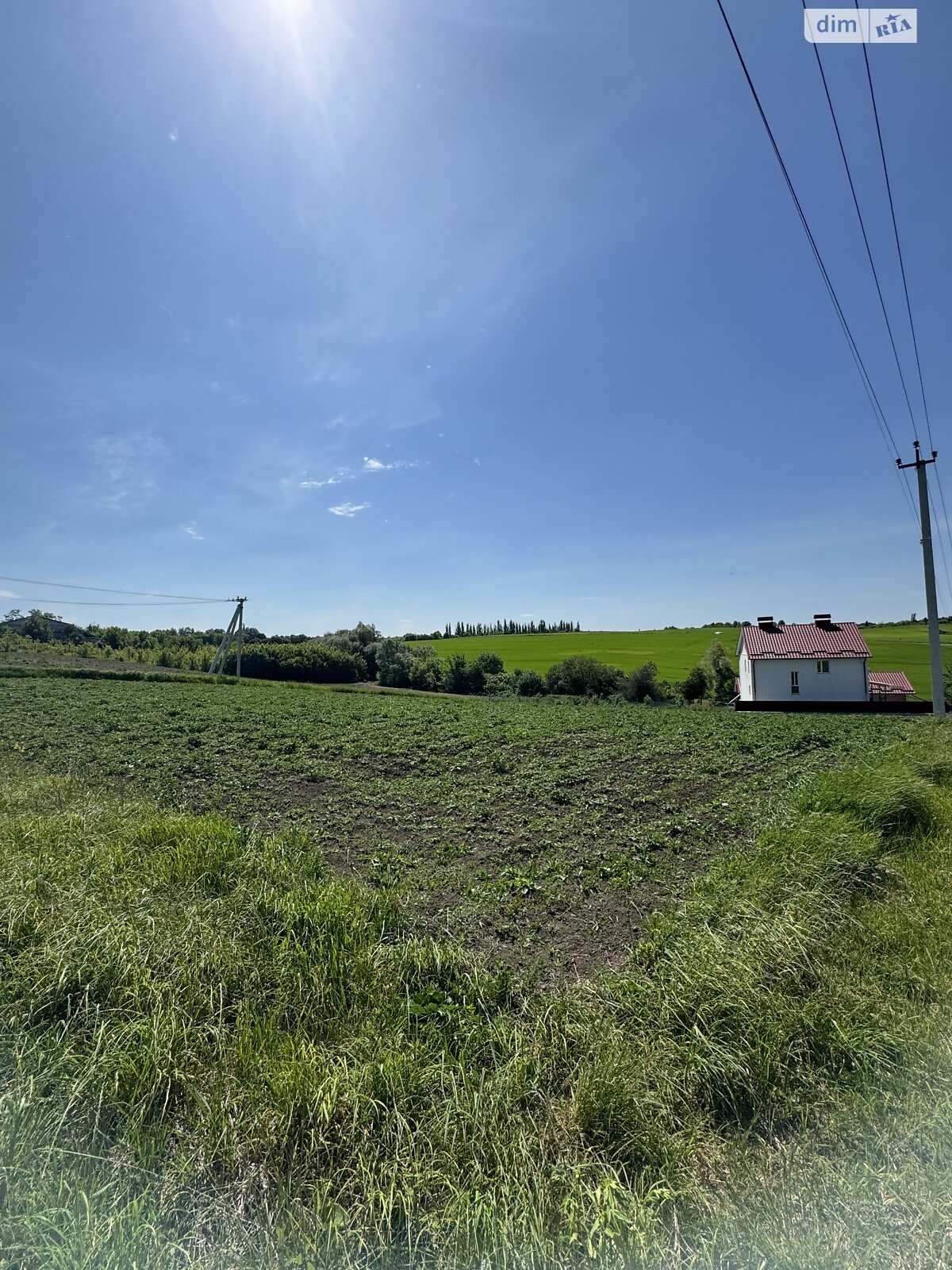 Земля під житлову забудову в Хмельницькому, район Ружична, площа 24 сотки фото 1 Земля під житлову забудову в Хмельницькому, район Ружична, площа 24 сотки фото 1