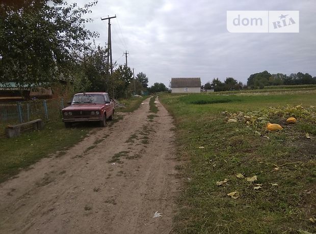 Земля под жилую застройку в селе Рыжулинцы, площадь 31 сотка фото 1 Земля под жилую застройку в селе Рыжулинцы, площадь 31 сотка фото 1