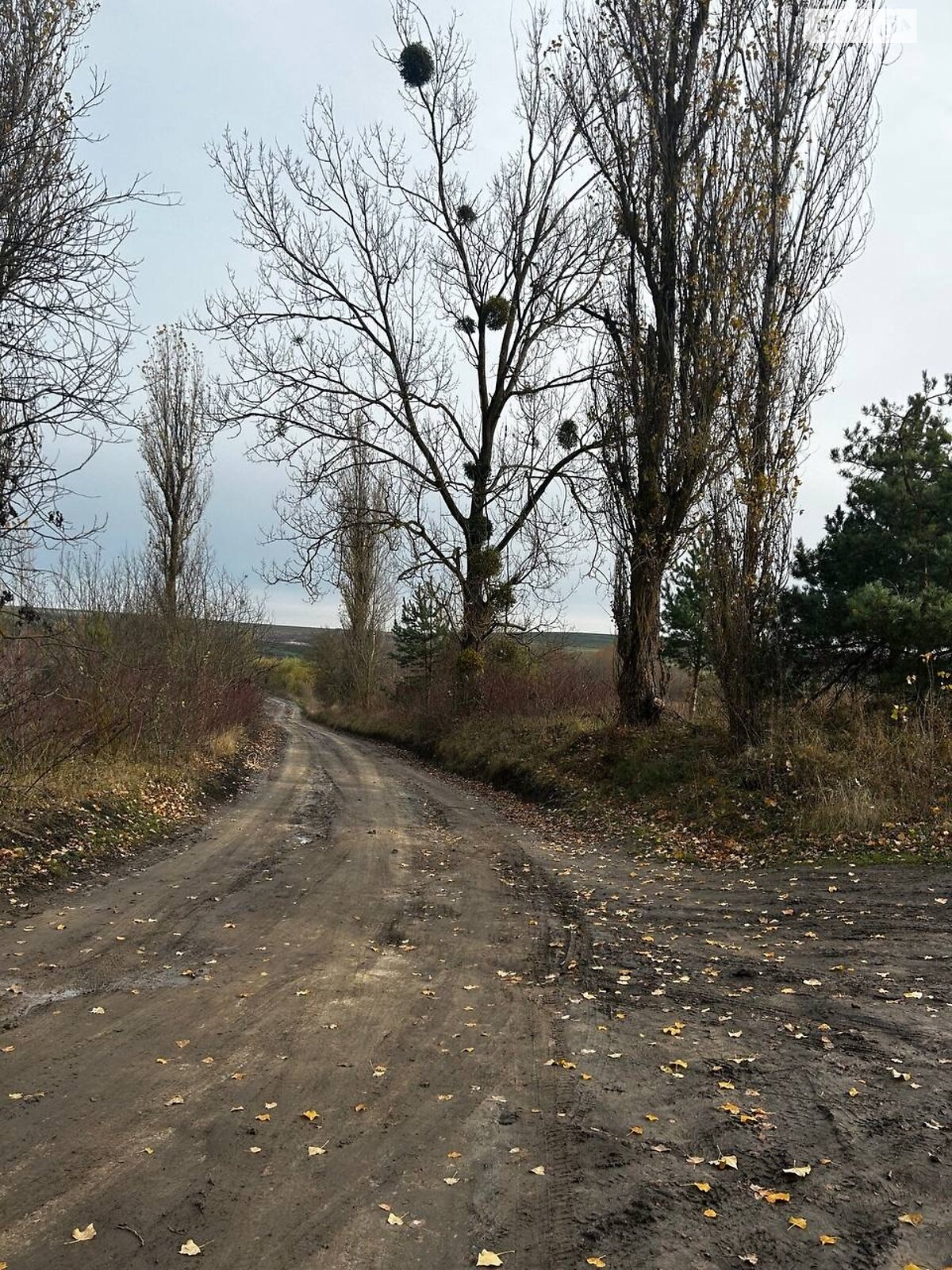 Земля под жилую застройку в Хмельницком, район Солнечный, площадь 20 соток фото 1