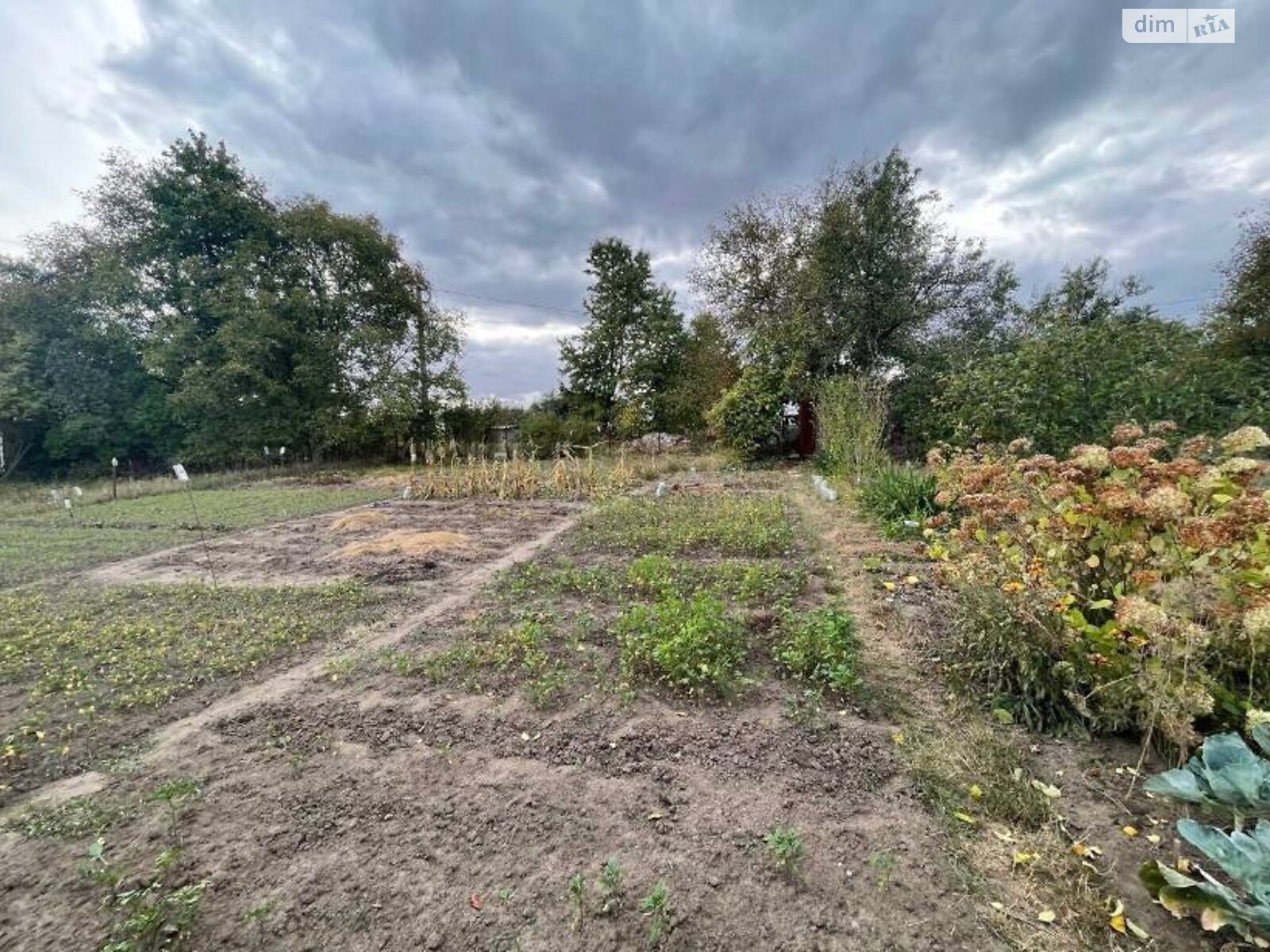 Земельный участок под жилую застройку в Хмельницком, площадь 8 соток фото 1 Земельный участок под жилую застройку в Хмельницком, площадь 8 соток фото 1