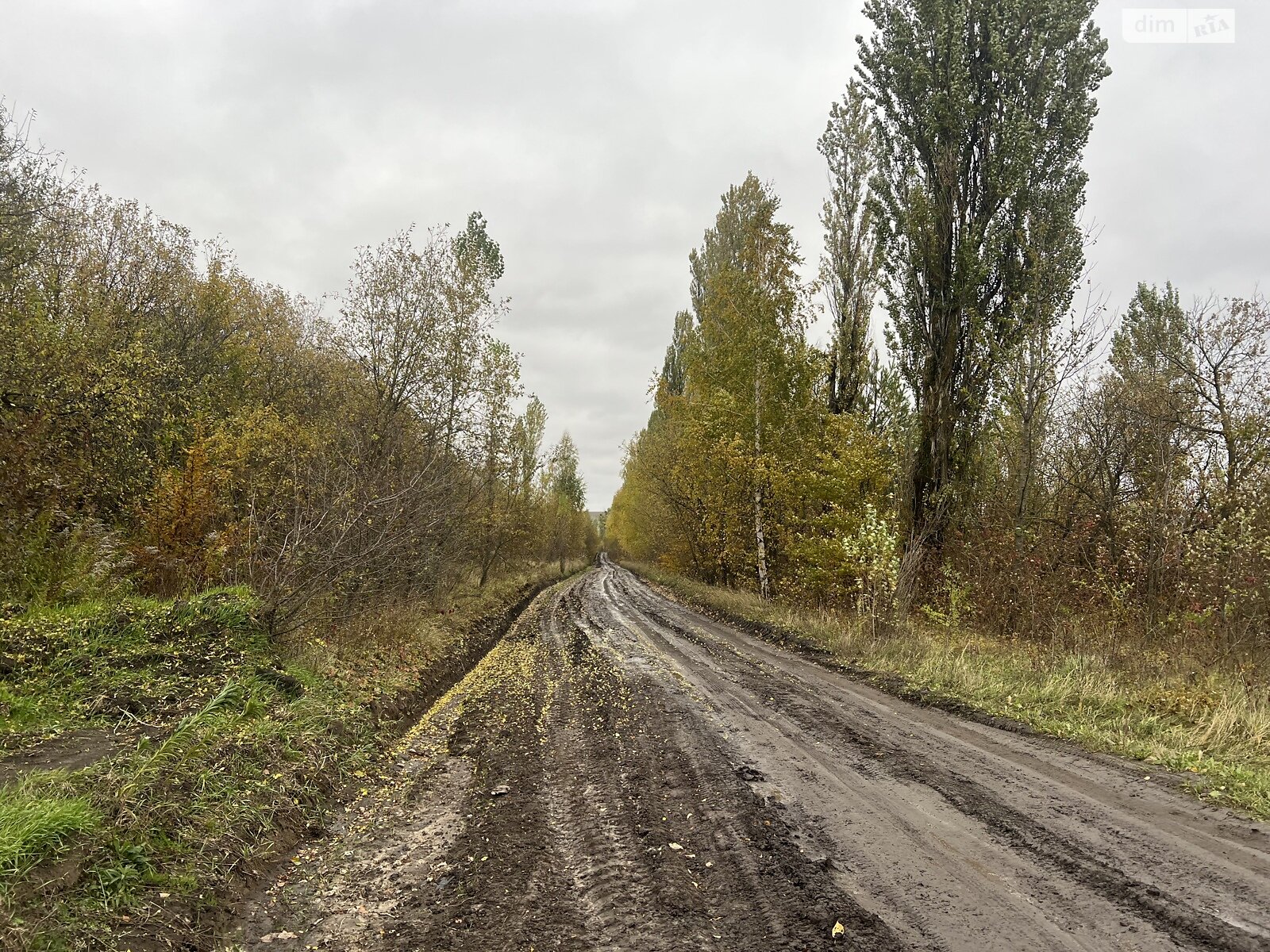 Земельна ділянка під житлову забудову в Хмельницькому, площа 11.96 сотки фото 1 Земельна ділянка під житлову забудову в Хмельницькому, площа 11.96 сотки фото 1