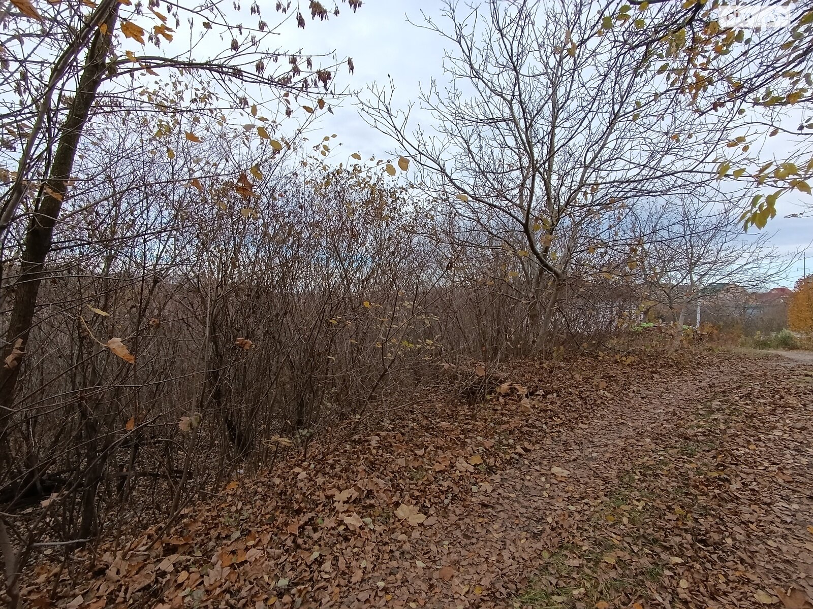 Земля под жилую застройку в Хмельницком, район Юго-Западный, площадь 10 соток фото 1