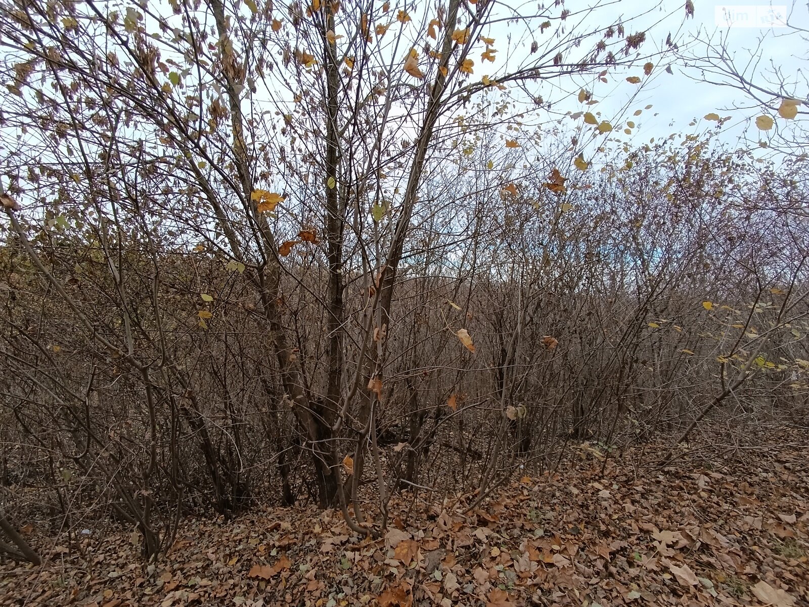 Земля под жилую застройку в Хмельницком, район Юго-Западный, площадь 10 соток фото 1