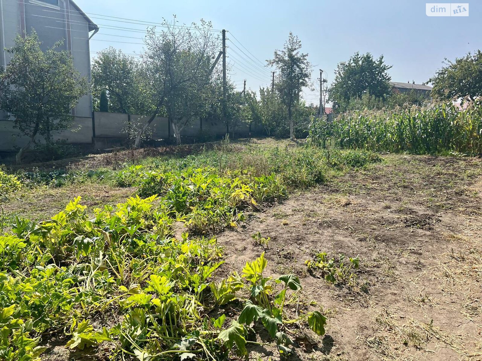 Земля під житлову забудову в Хмельницькому, район Південно-Західний, площа 6 соток фото 1 Земля під житлову забудову в Хмельницькому, район Південно-Західний, площа 6 соток фото 1