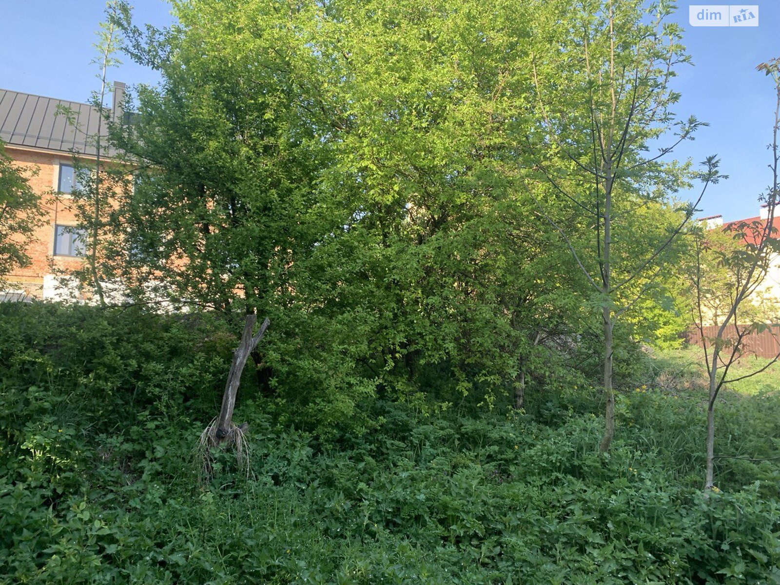 Земля під житлову забудову в Хмельницькому, район Заріччя, площа 10 соток фото 1 Земля під житлову забудову в Хмельницькому, район Заріччя, площа 10 соток фото 1