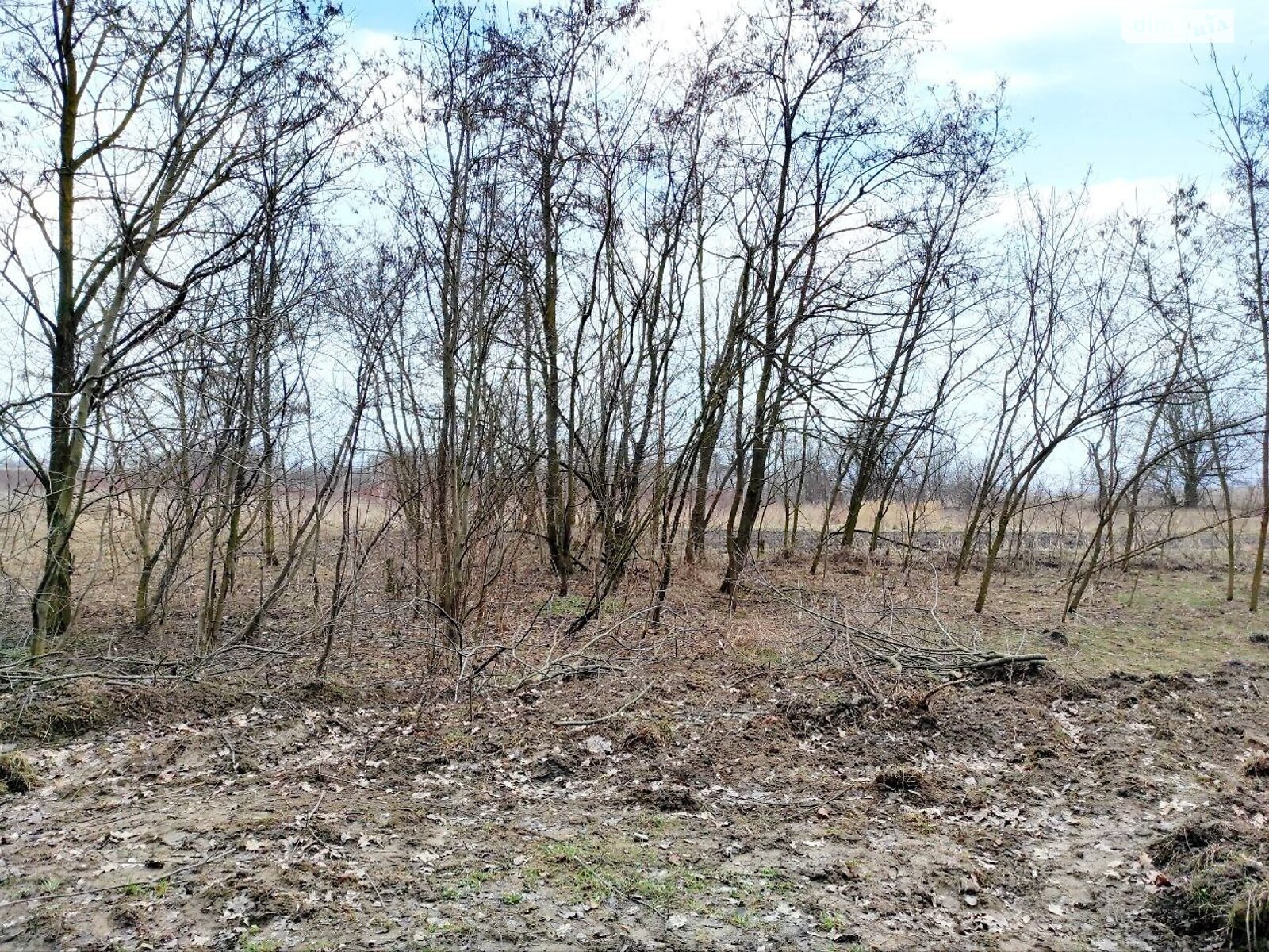 Земельна ділянка під житлову забудову в Хмельницькому, площа 12 соток фото 1 Земельна ділянка під житлову забудову в Хмельницькому, площа 12 соток фото 1