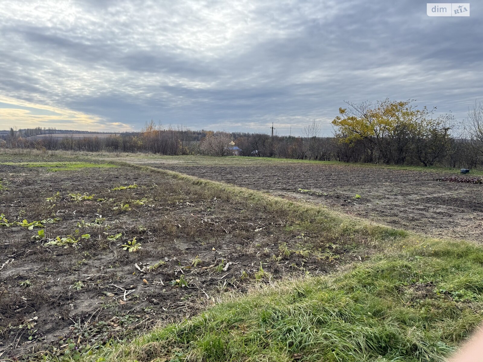 Земельный участок под жилую застройку в Ходаковцах, площадь 20 соток фото 1