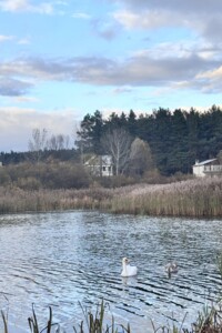 Земельный участок под жилую застройку в Ходосовке, площадь 12.5 сотки фото 2 Земельный участок под жилую застройку в Ходосовке, площадь 12.5 сотки фото 2