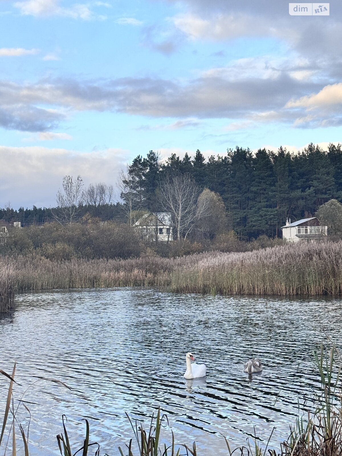 Земельный участок под жилую застройку в Ходосовке, площадь 12.5 сотки фото 1 Земельный участок под жилую застройку в Ходосовке, площадь 12.5 сотки фото 1