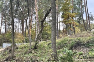 Земельна ділянка під житлову забудову в Ходосівкі, площа 10 соток фото 2 Земельна ділянка під житлову забудову в Ходосівкі, площа 10 соток фото 2