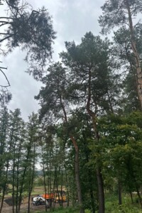 Земельный участок под жилую застройку в Ходосовке, площадь 12 соток фото 2