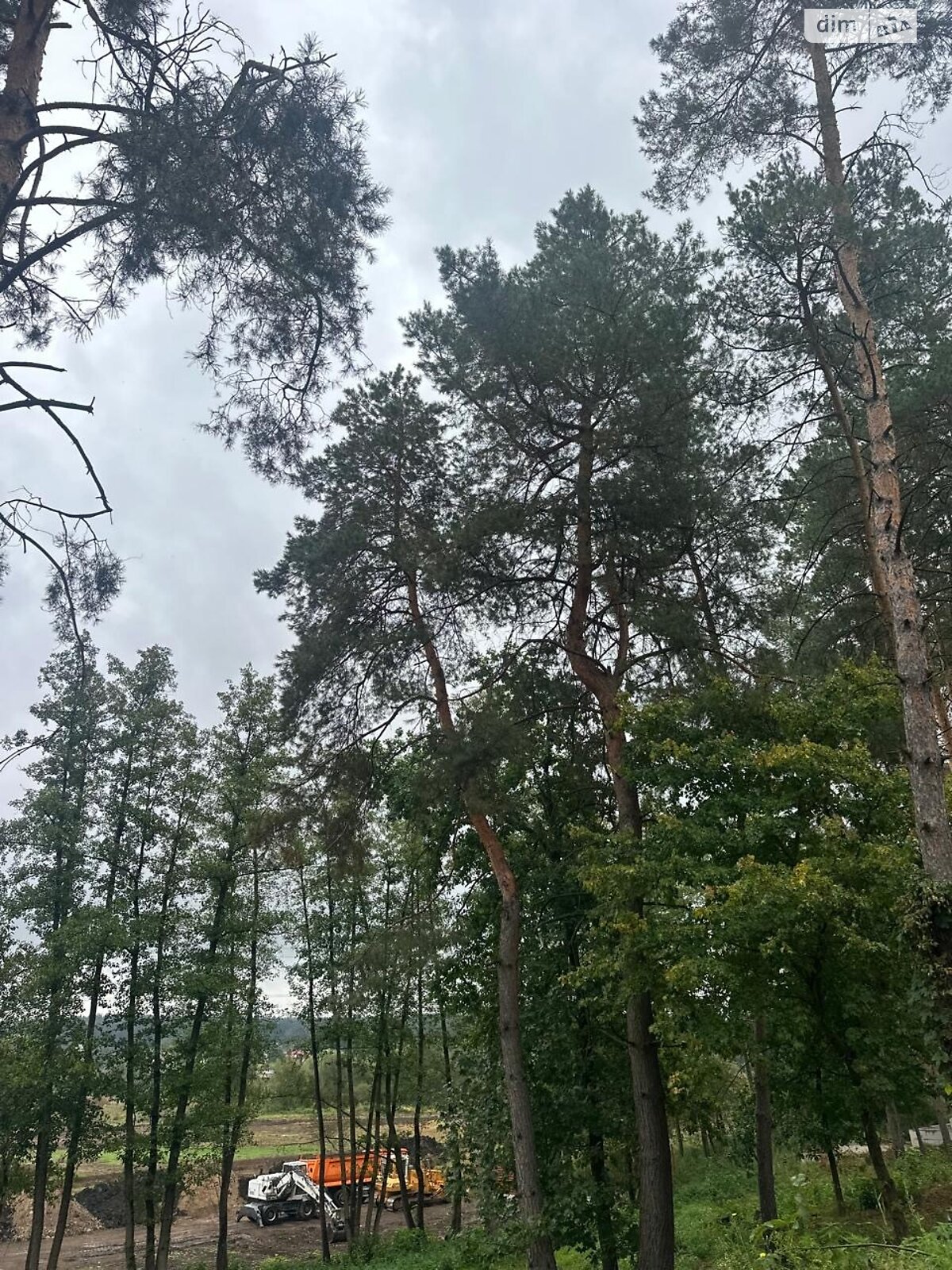 Земельный участок под жилую застройку в Ходосовке, площадь 12 соток фото 1