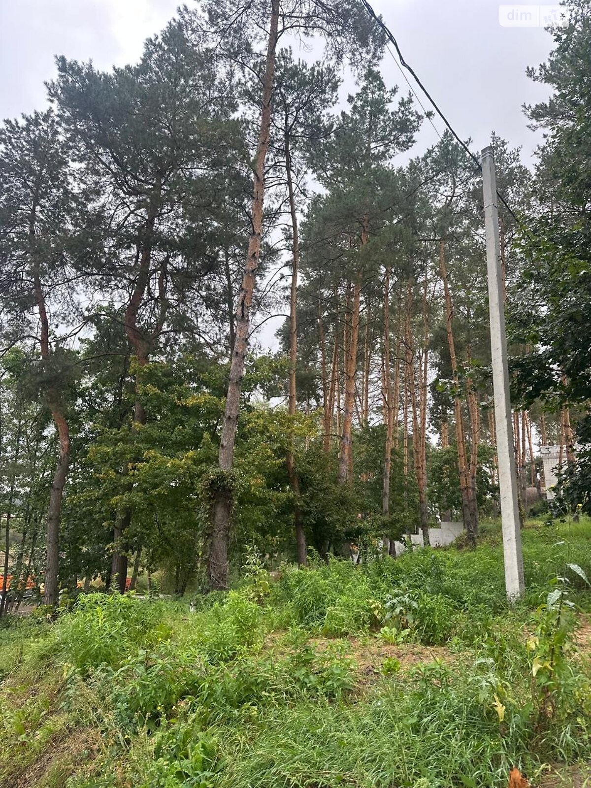 Земельный участок под жилую застройку в Ходосовке, площадь 12 соток фото 1