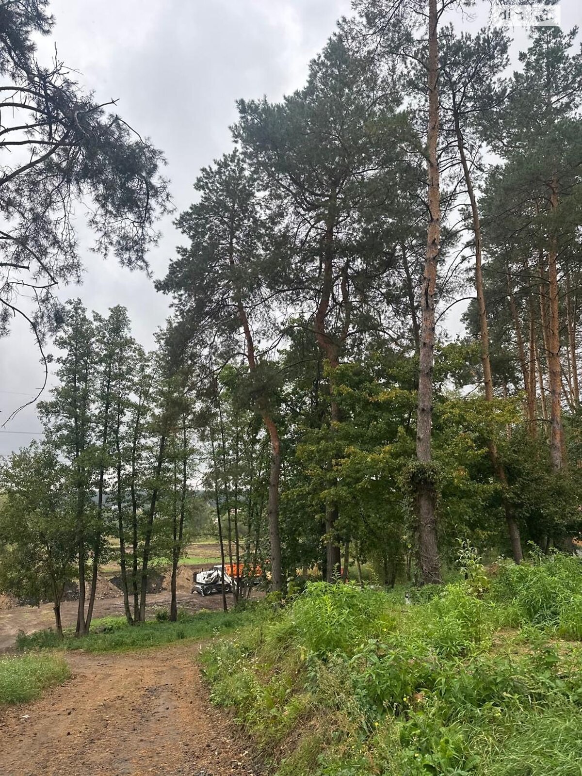 Земельный участок под жилую застройку в Ходосовке, площадь 12 соток фото 1