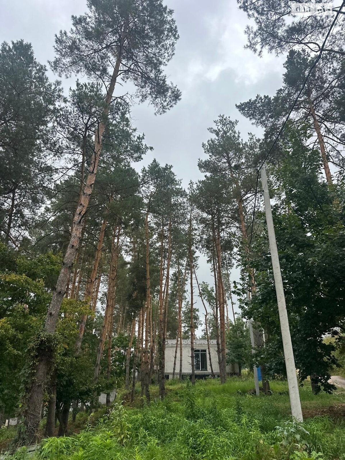 Земельный участок под жилую застройку в Ходосовке, площадь 12 соток фото 1