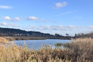 Земельный участок под жилую застройку в Ходосовке, площадь 8 соток фото 2