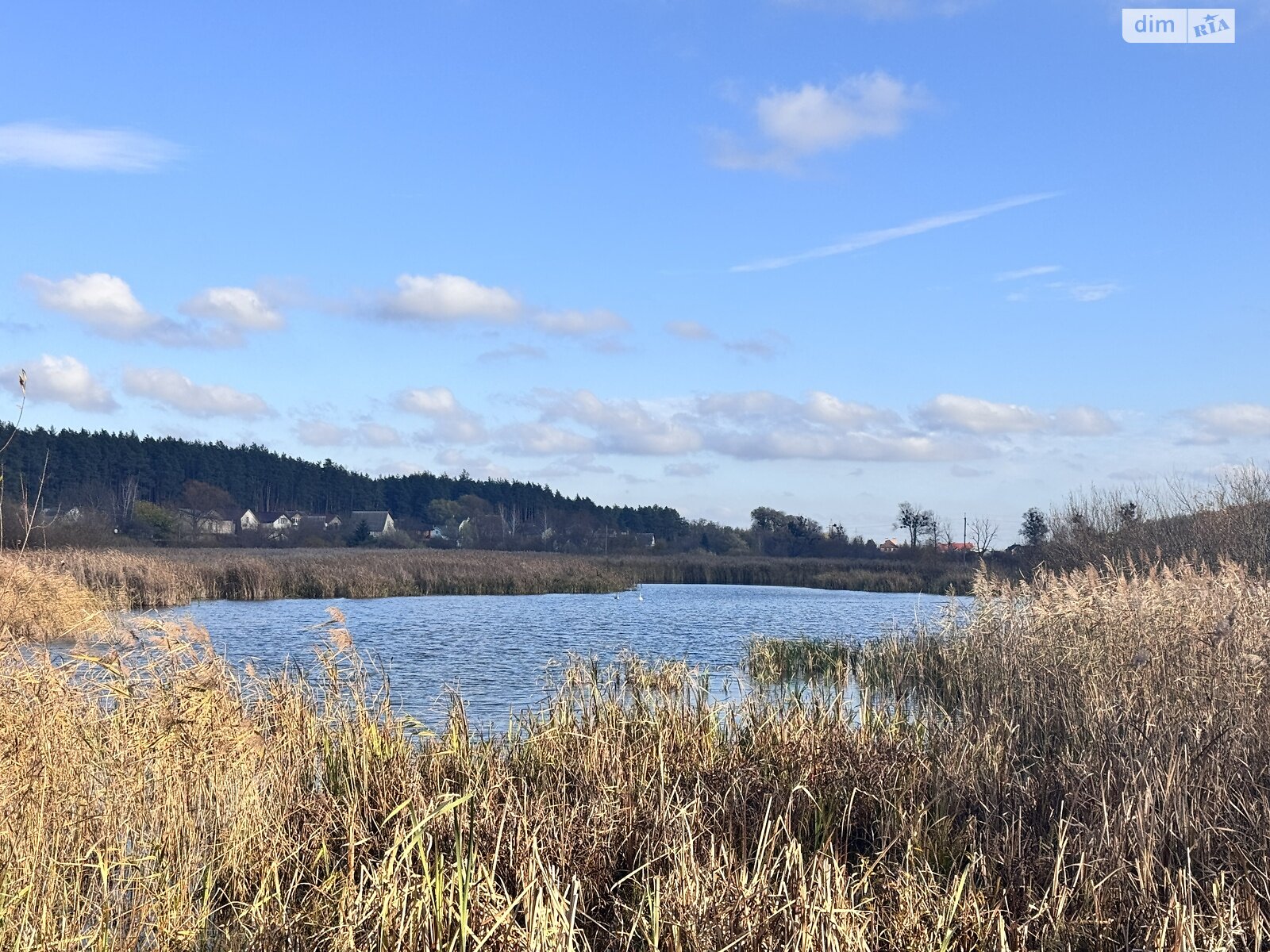 Земельный участок под жилую застройку в Ходосовке, площадь 8 соток фото 1
