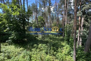 Земельна ділянка під житлову забудову в Ходосівкі, площа 50 соток фото 2