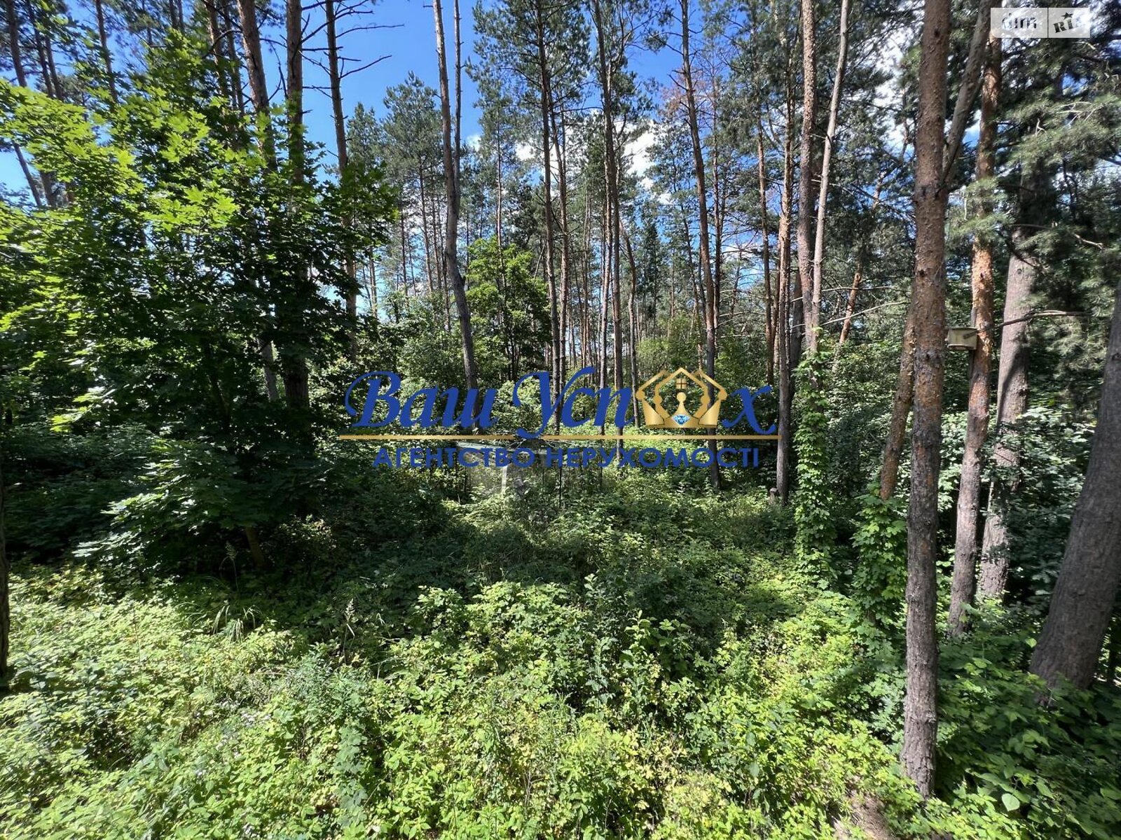 Земельна ділянка під житлову забудову в Ходосівкі, площа 50 соток фото 1 Земельна ділянка під житлову забудову в Ходосівкі, площа 50 соток фото 1
