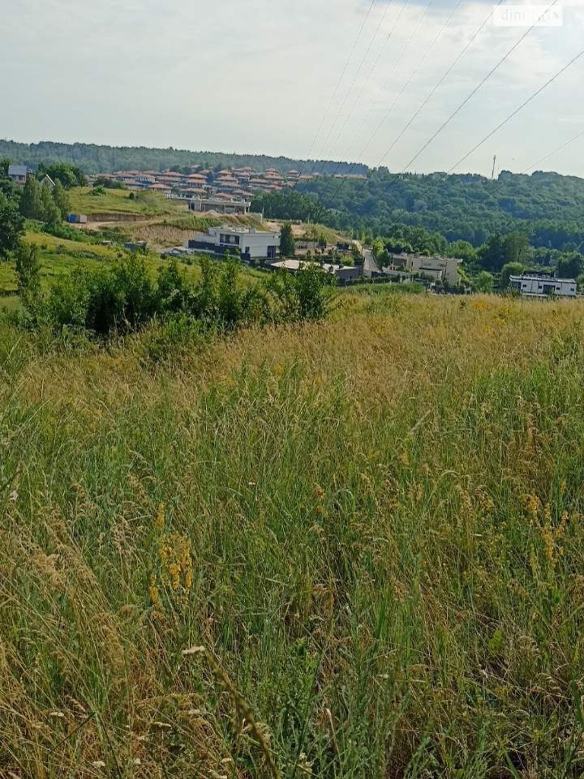 Земельна ділянка під житлову забудову в Ходосівці, площа 40 соток фото 1