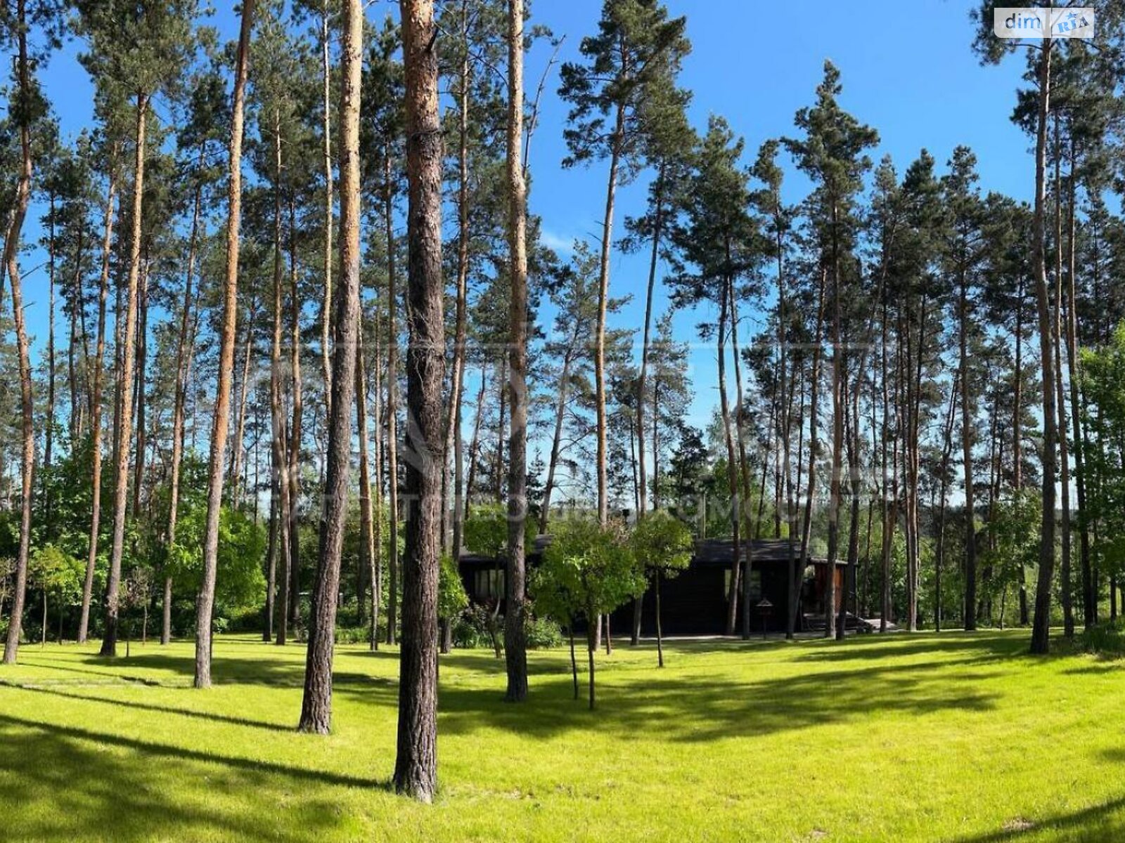 Земельна ділянка під житлову забудову в Ходосівці, площа 150 соток фото 1 Земельна ділянка під житлову забудову в Ходосівці, площа 150 соток фото 1